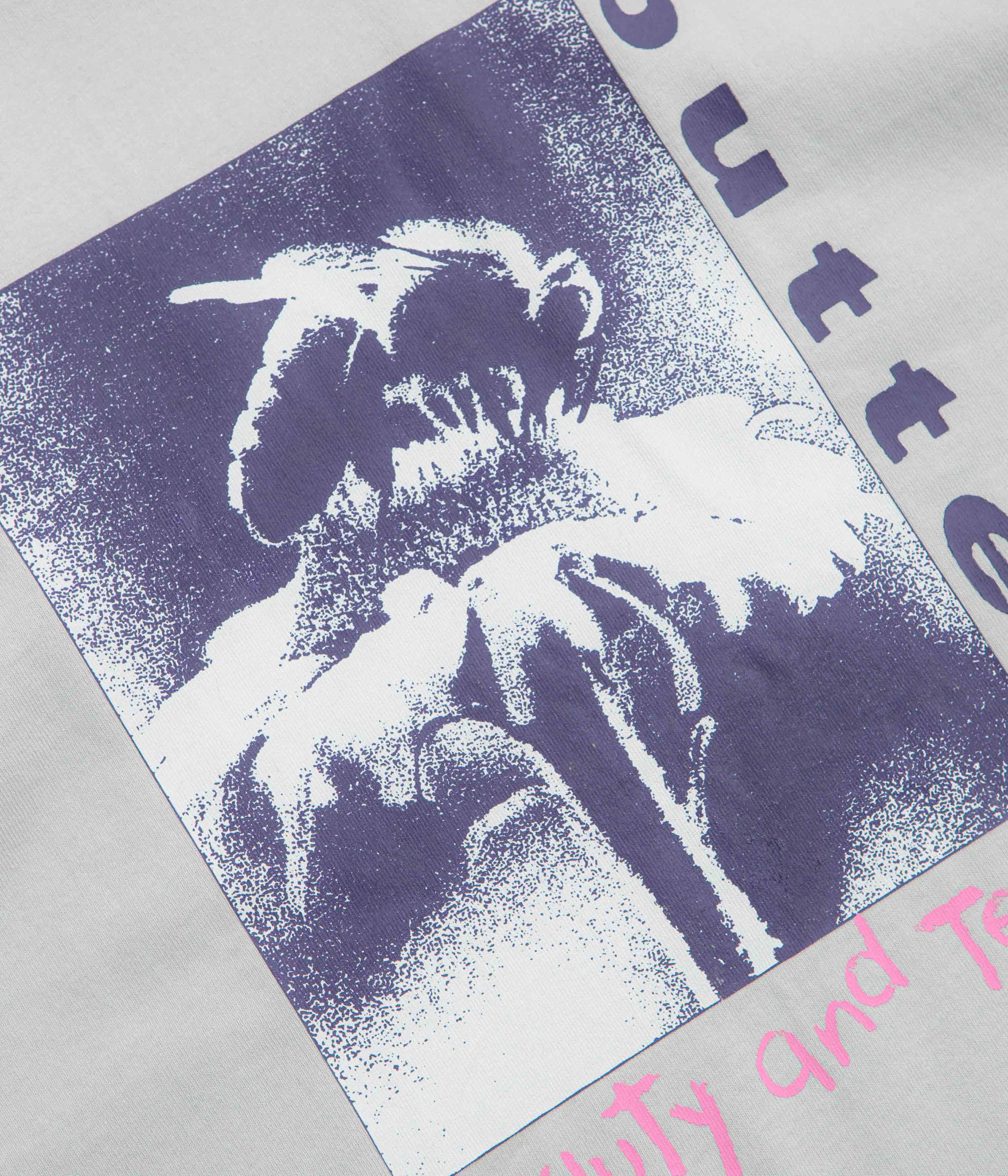 Butter Goods Beauty T-Shirt - Cement - Image 2