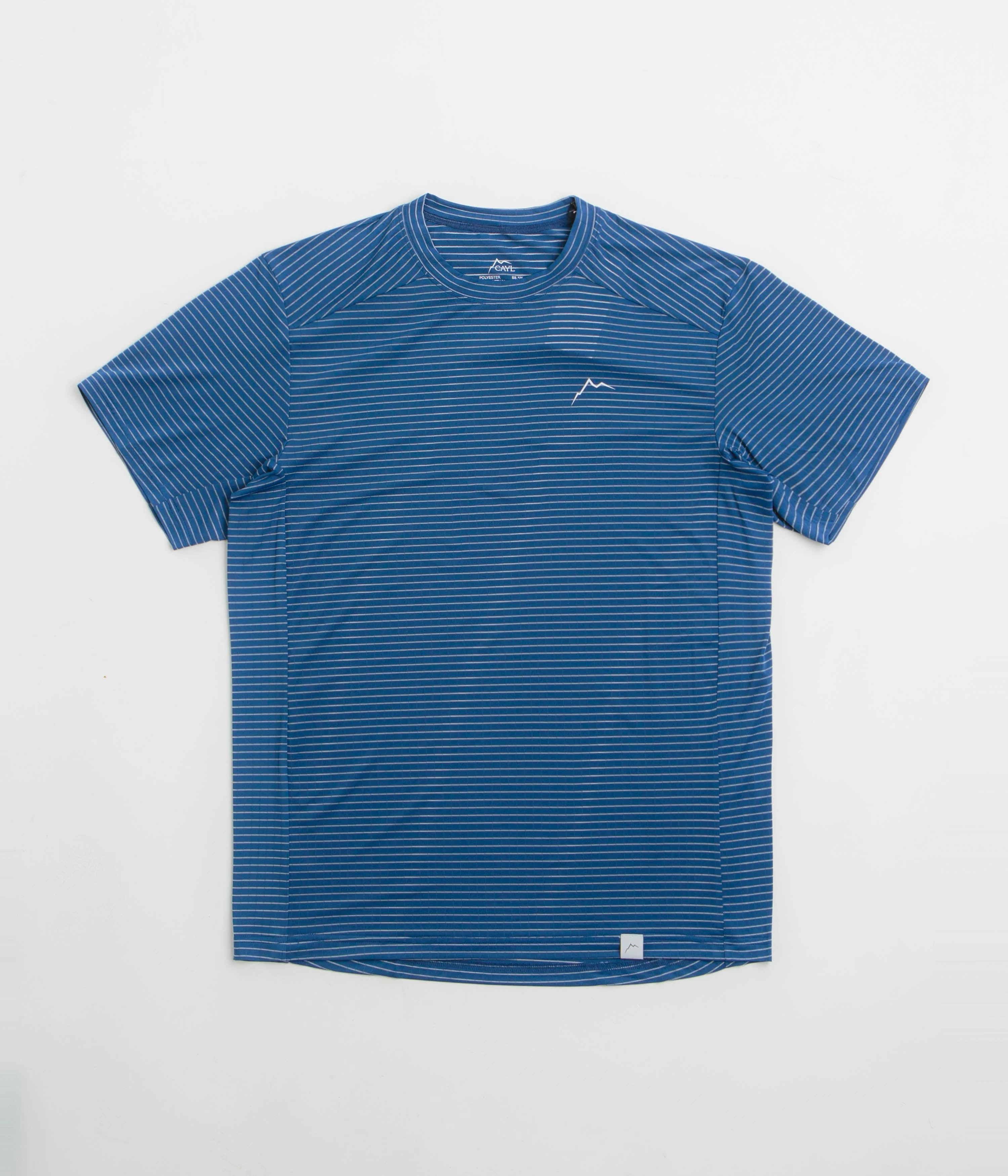 Cayl Stripe Logo T-Shirt - Blue