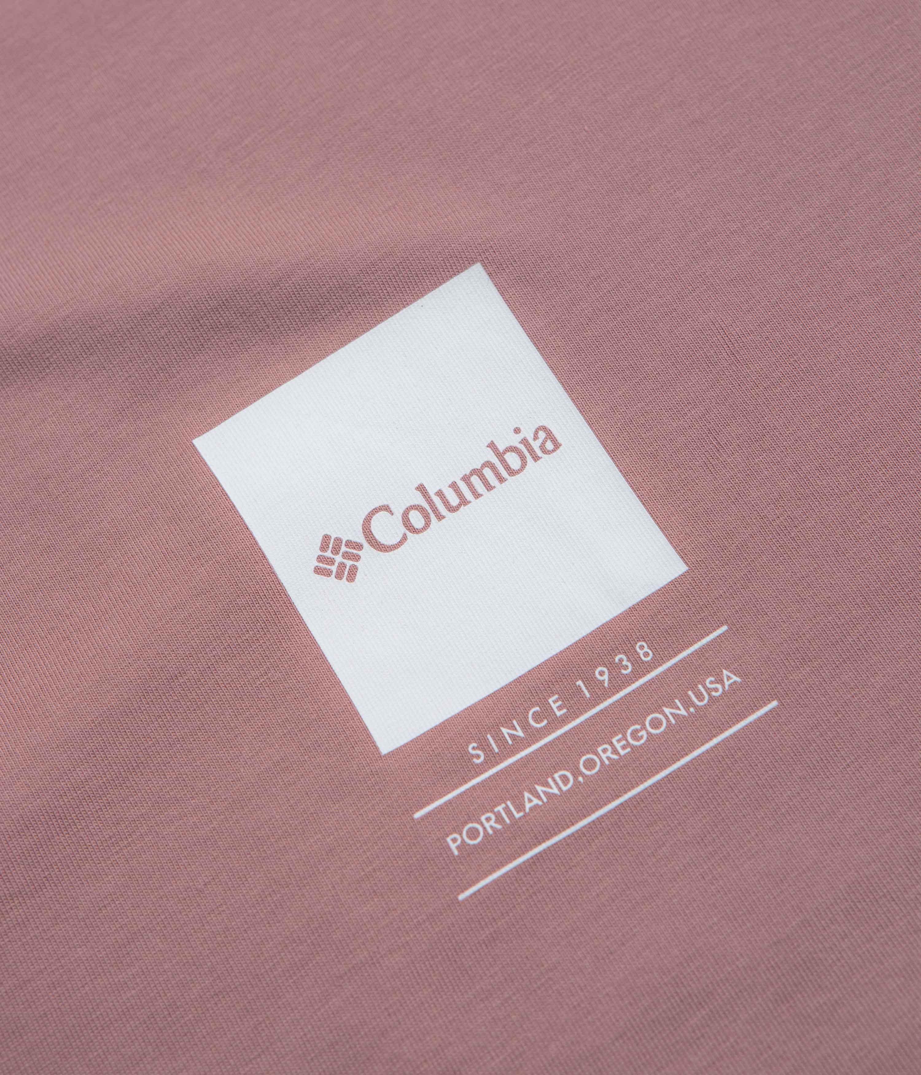 Columbia Barton Springs II Graphic T-Shirt - Fig - Image 3