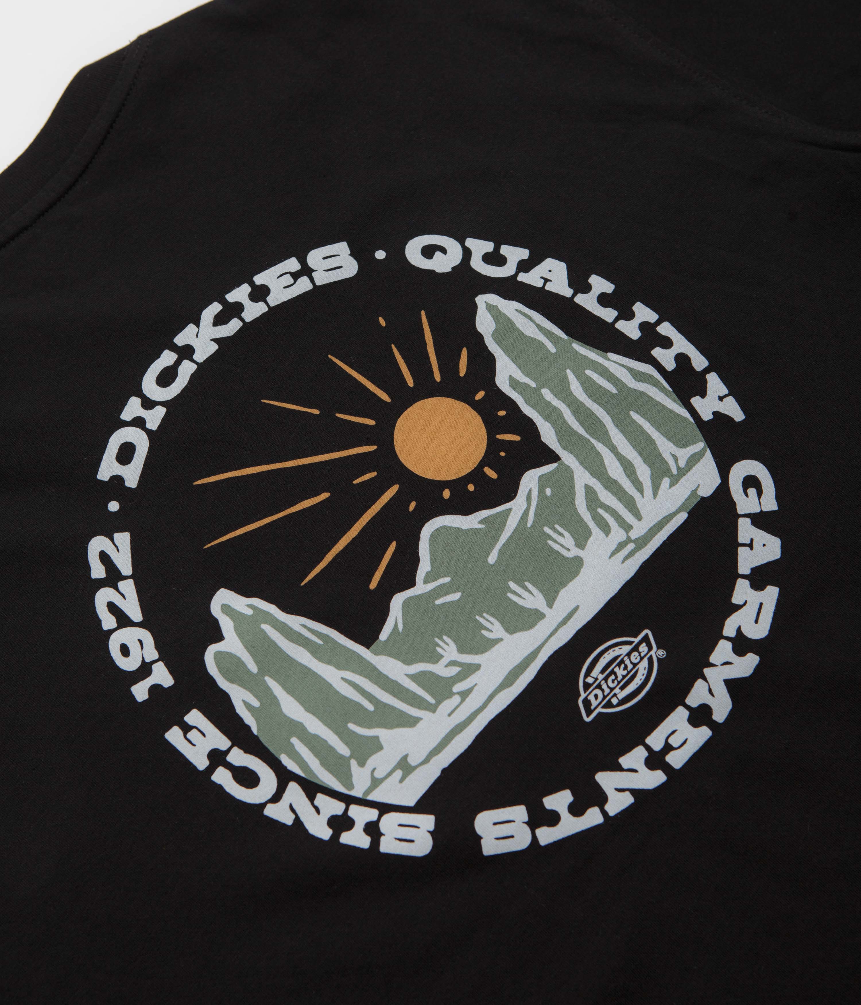 Dickies Dickies Outdoor T-Shirt - Black - Image 5