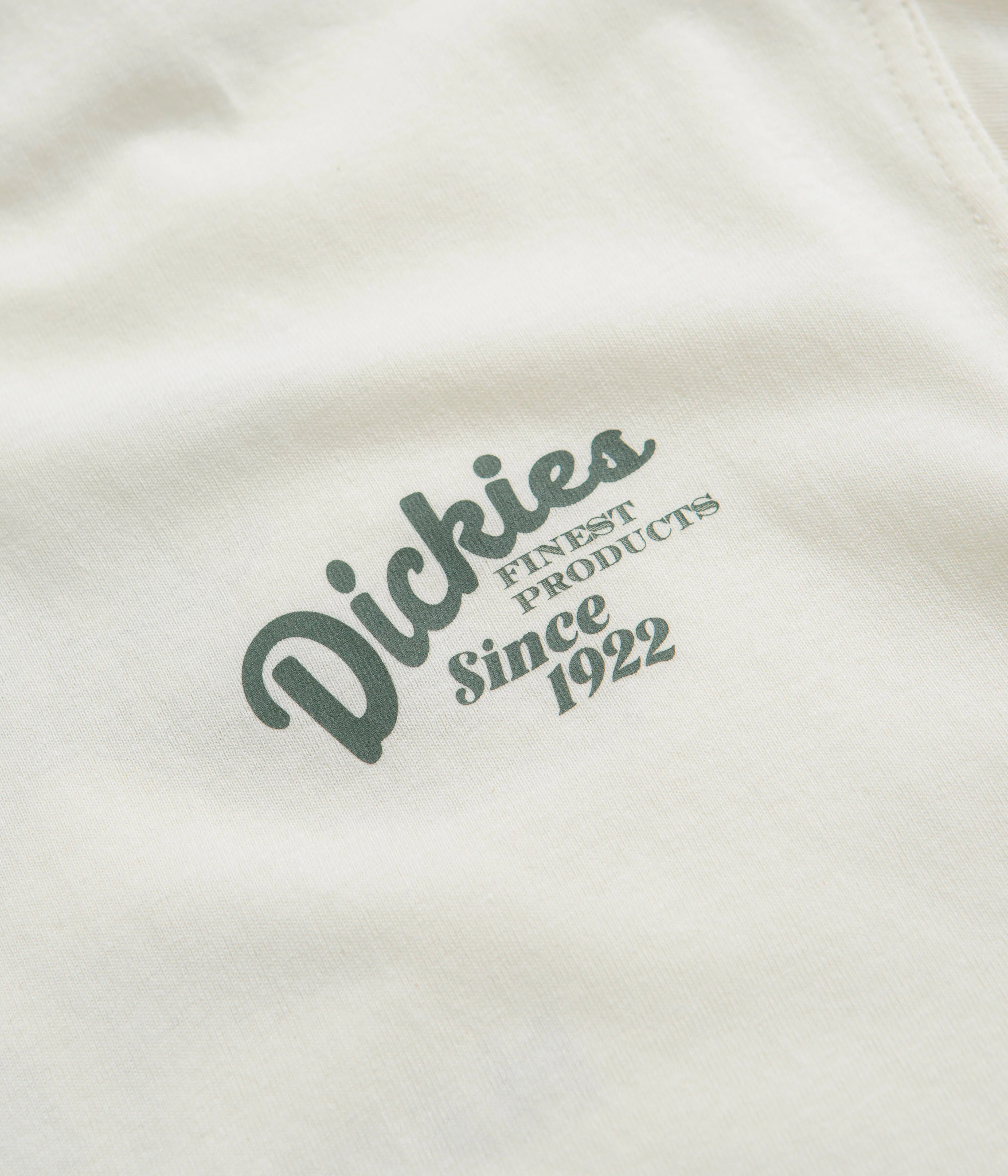 Dickies Raven T-Shirt - Cloud - Image 4