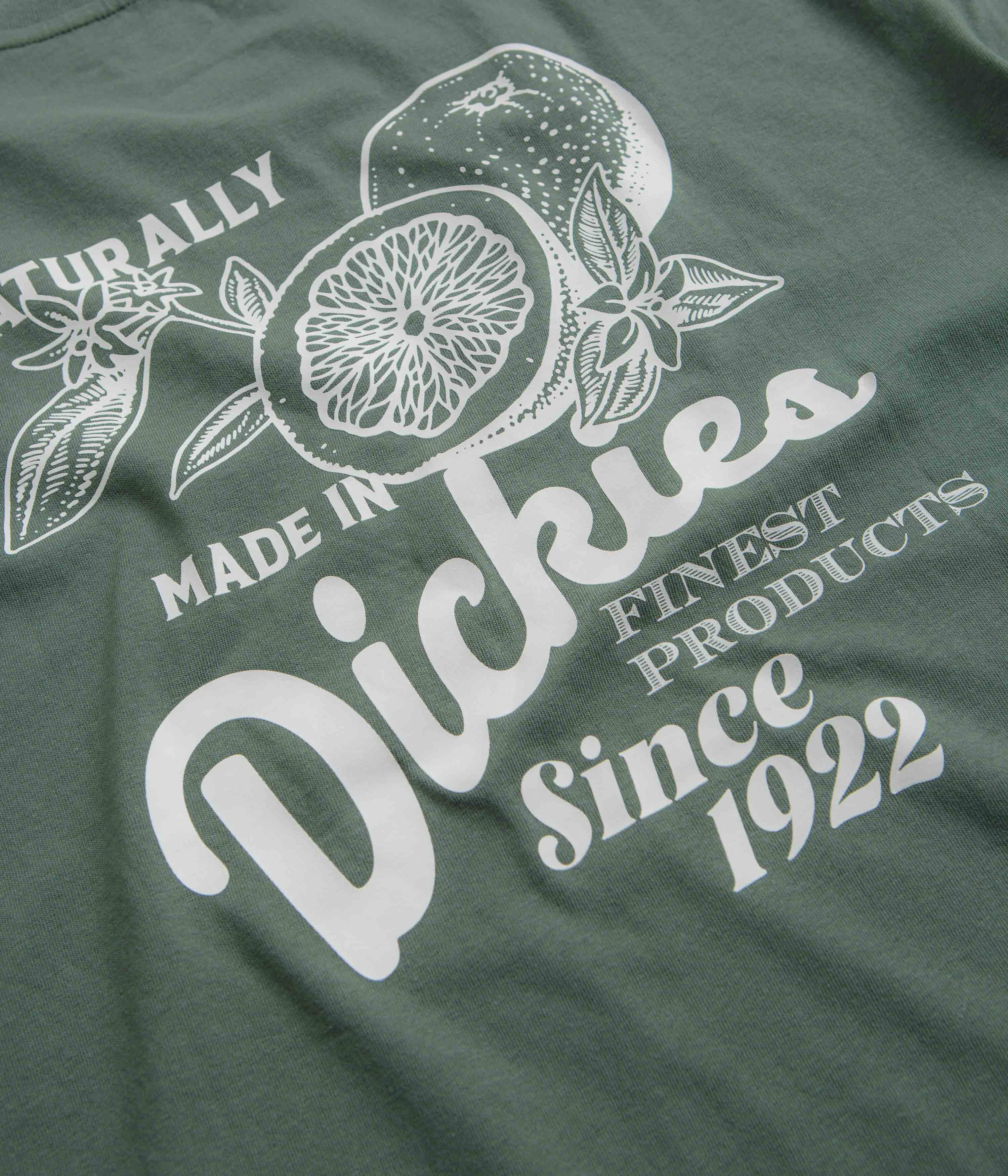 Dickies Raven T-Shirt - Dark Forest - Image 6