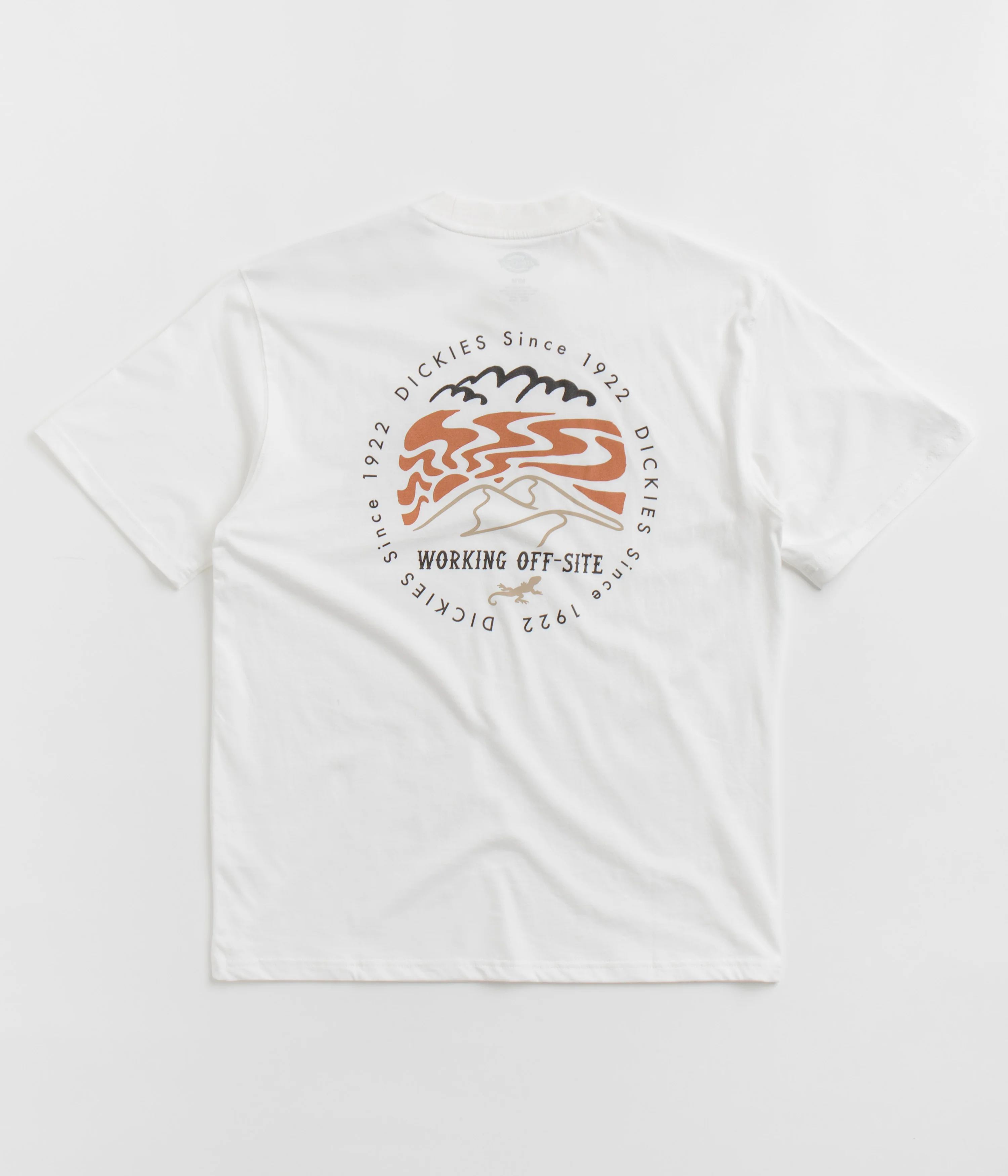 Dickies Stanardsville T-Shirt - White