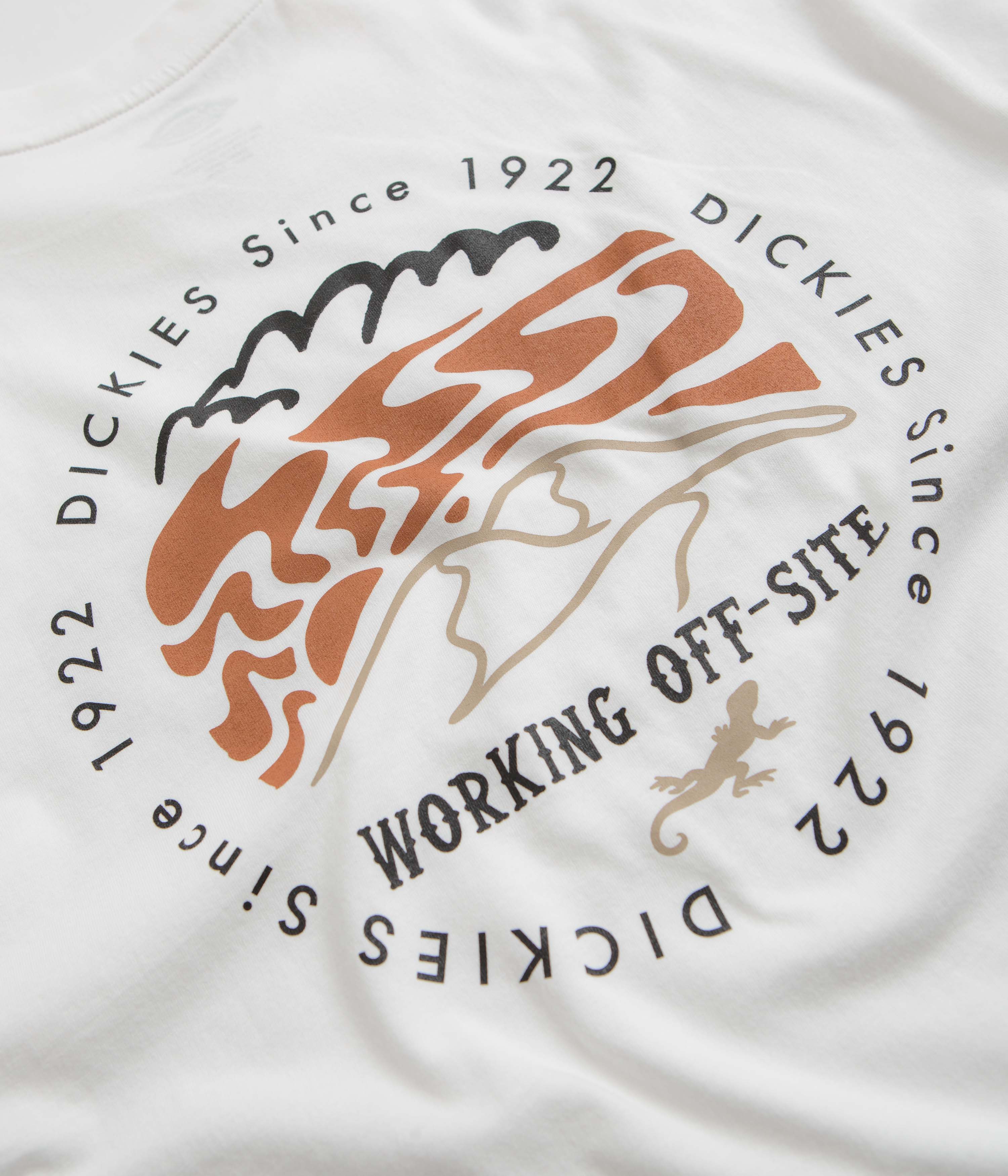 Dickies Stanardsville T-Shirt - White - Image 6