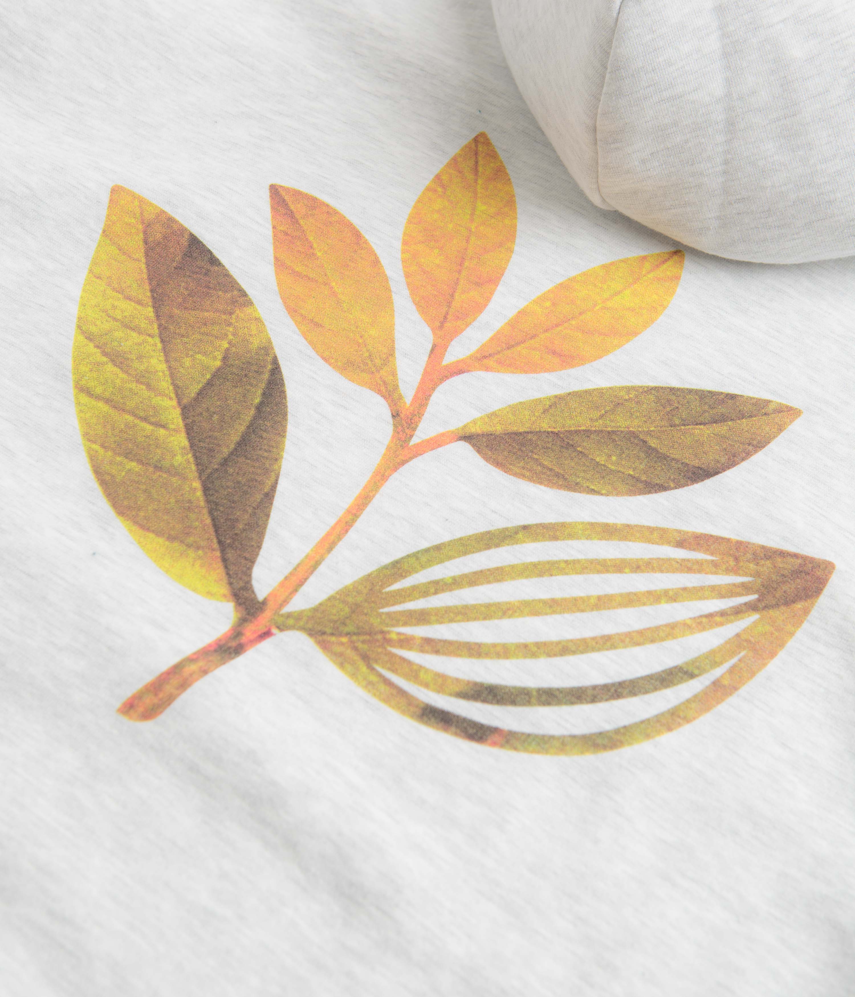 Magenta Automne Hoodie - Ash - Image 5