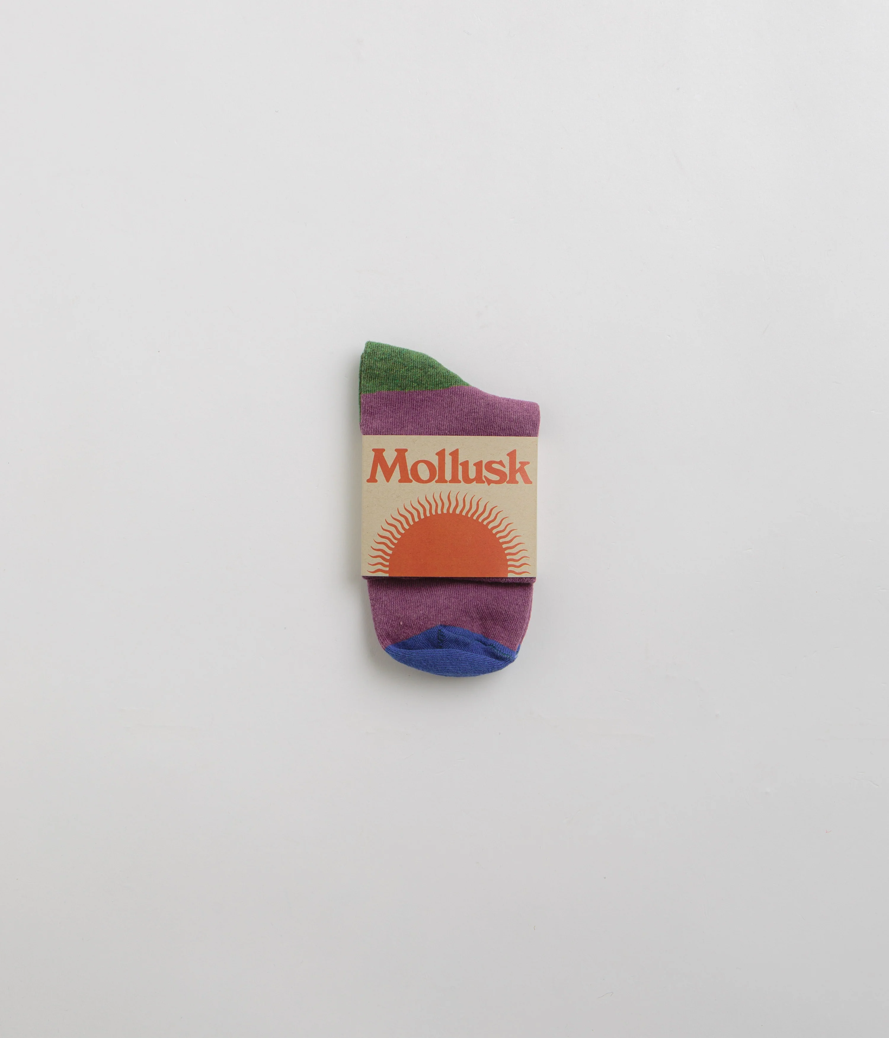 Mollusk Color Block Socks - Huckleberry - Image 3
