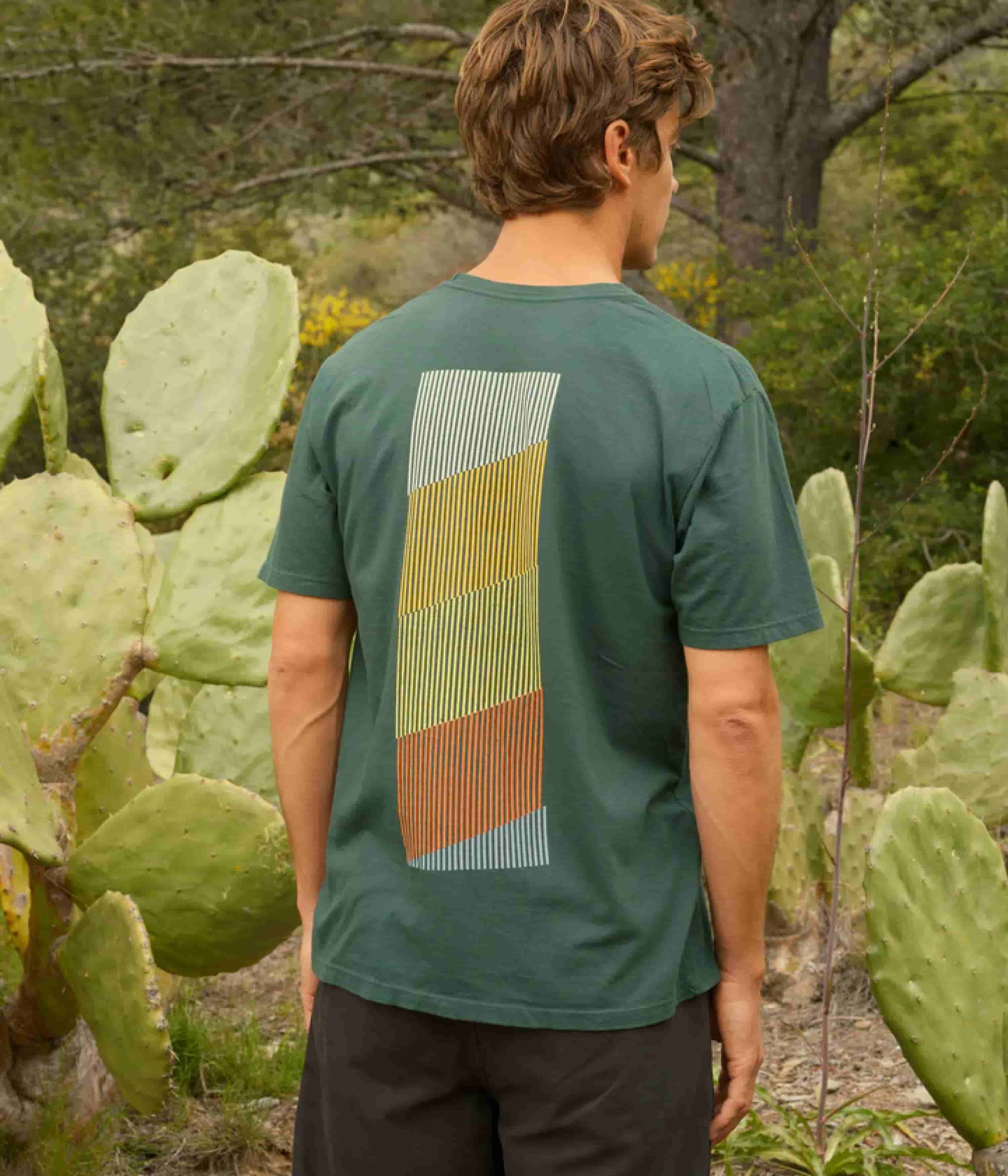 Mollusk Spectrum T-Shirt - Pinyon Green - Image 2