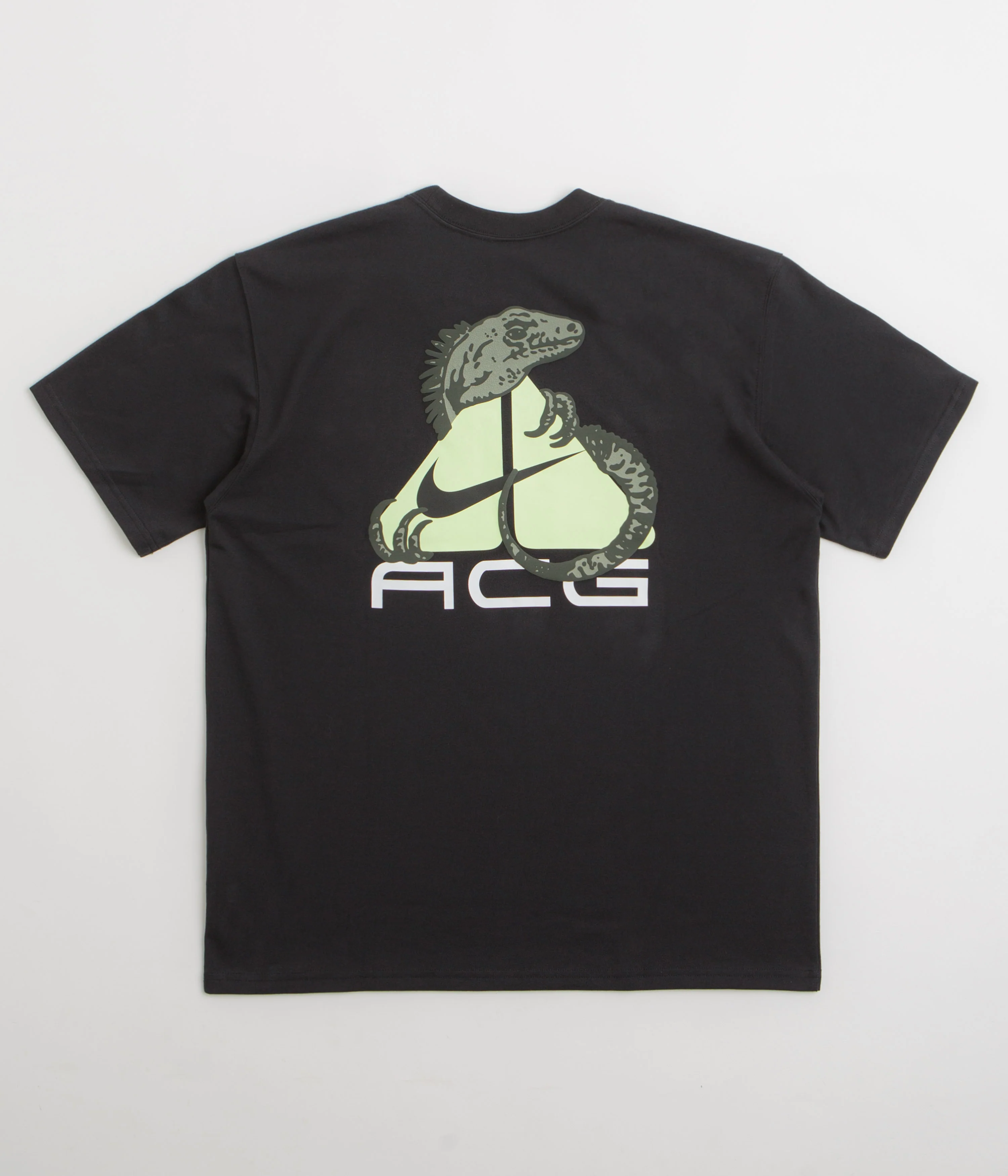 Nike ACG Iguana T-Shirt - Black