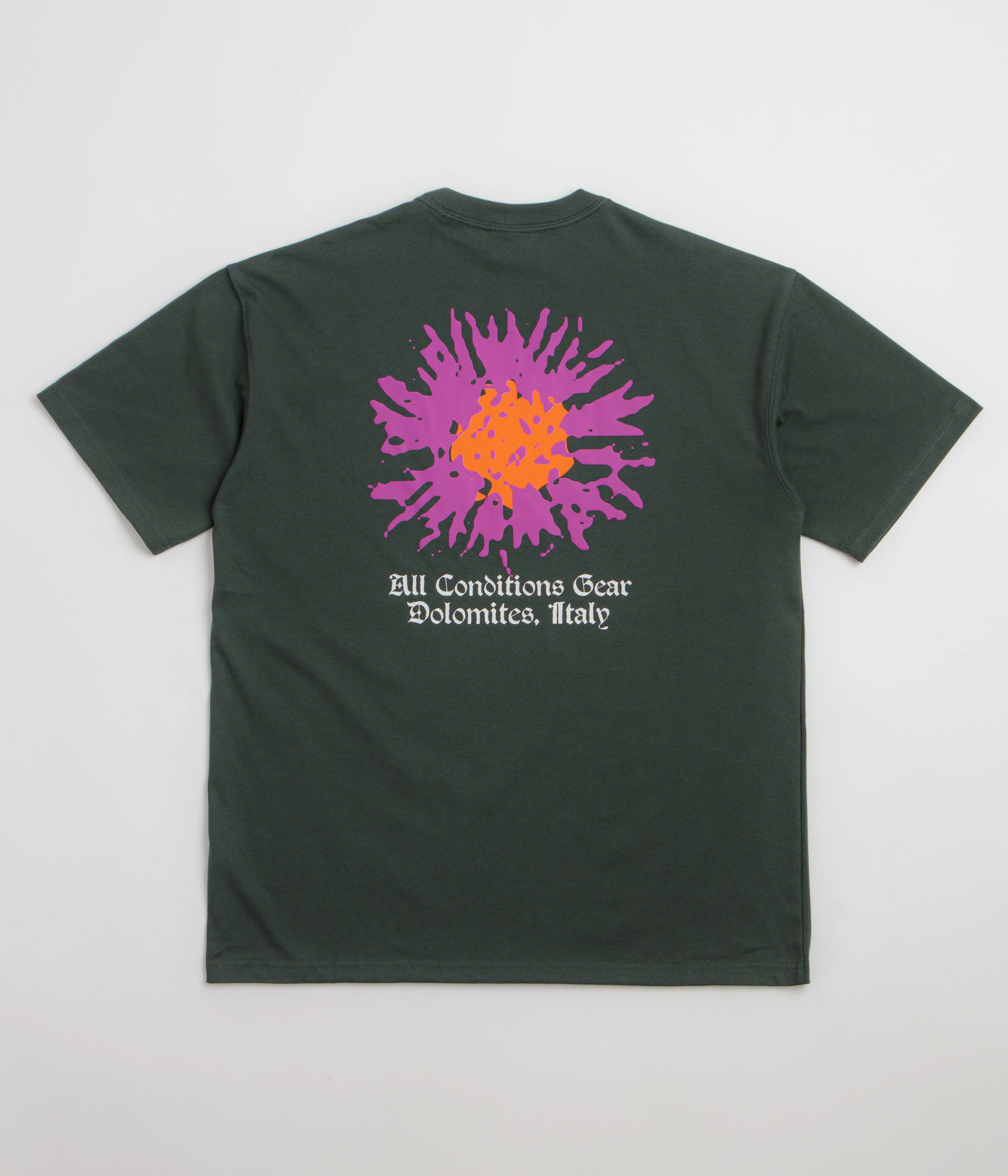 Nike ACG Meadows T-Shirt - Black Spruce