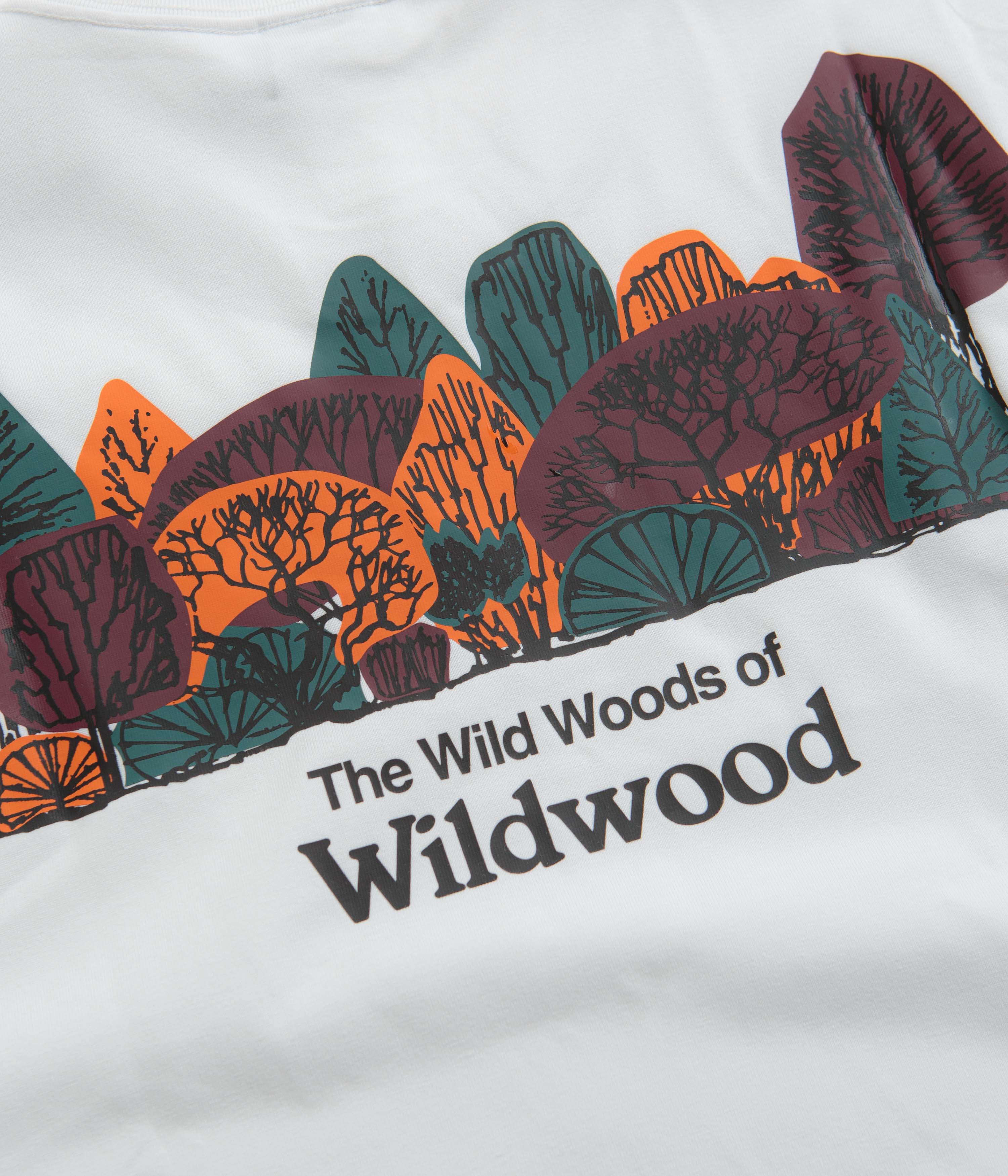 Nike ACG Wildwood T-Shirt - Summit White - Image 5