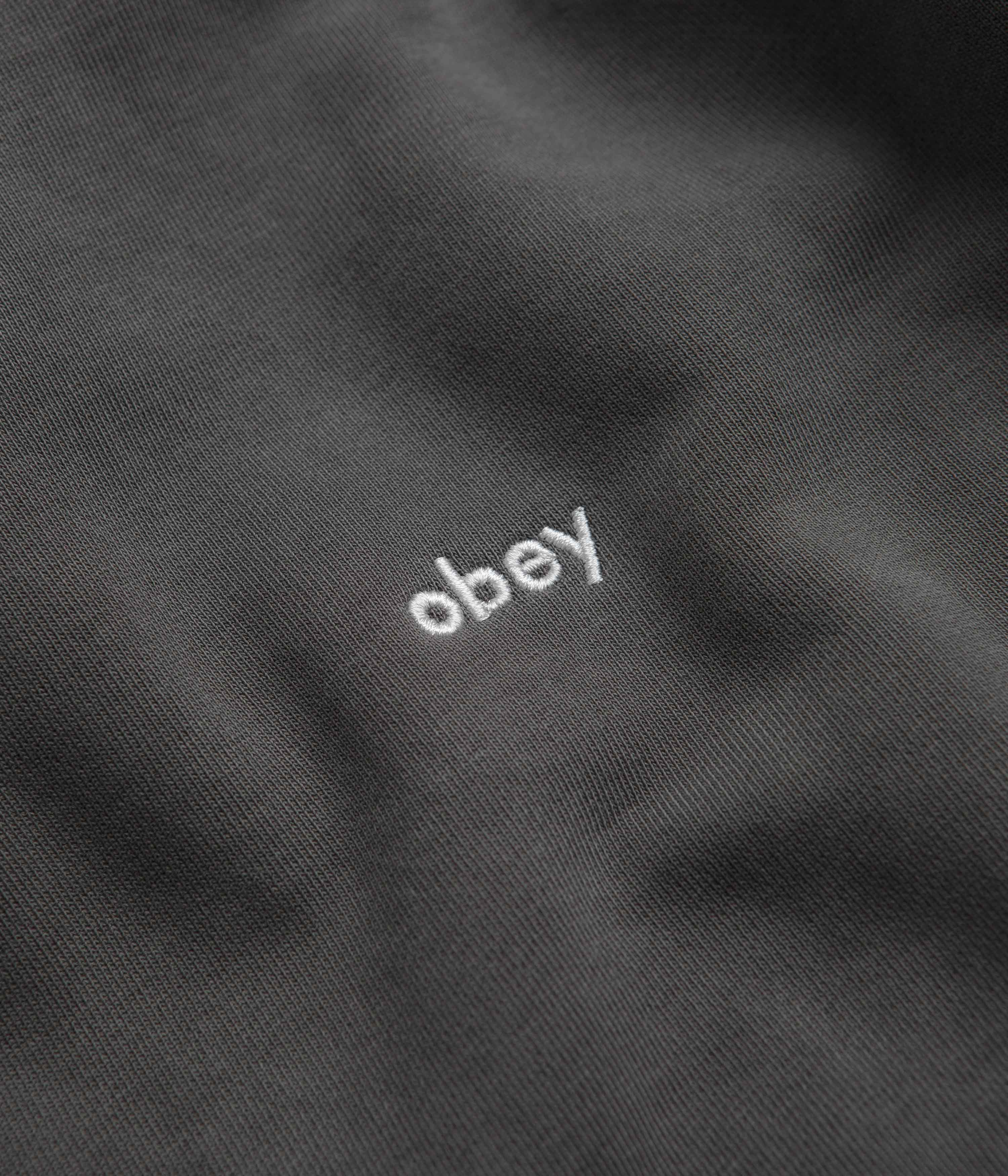 Obey Lowercase Pigment Hoodie - Digital Black - Image 3
