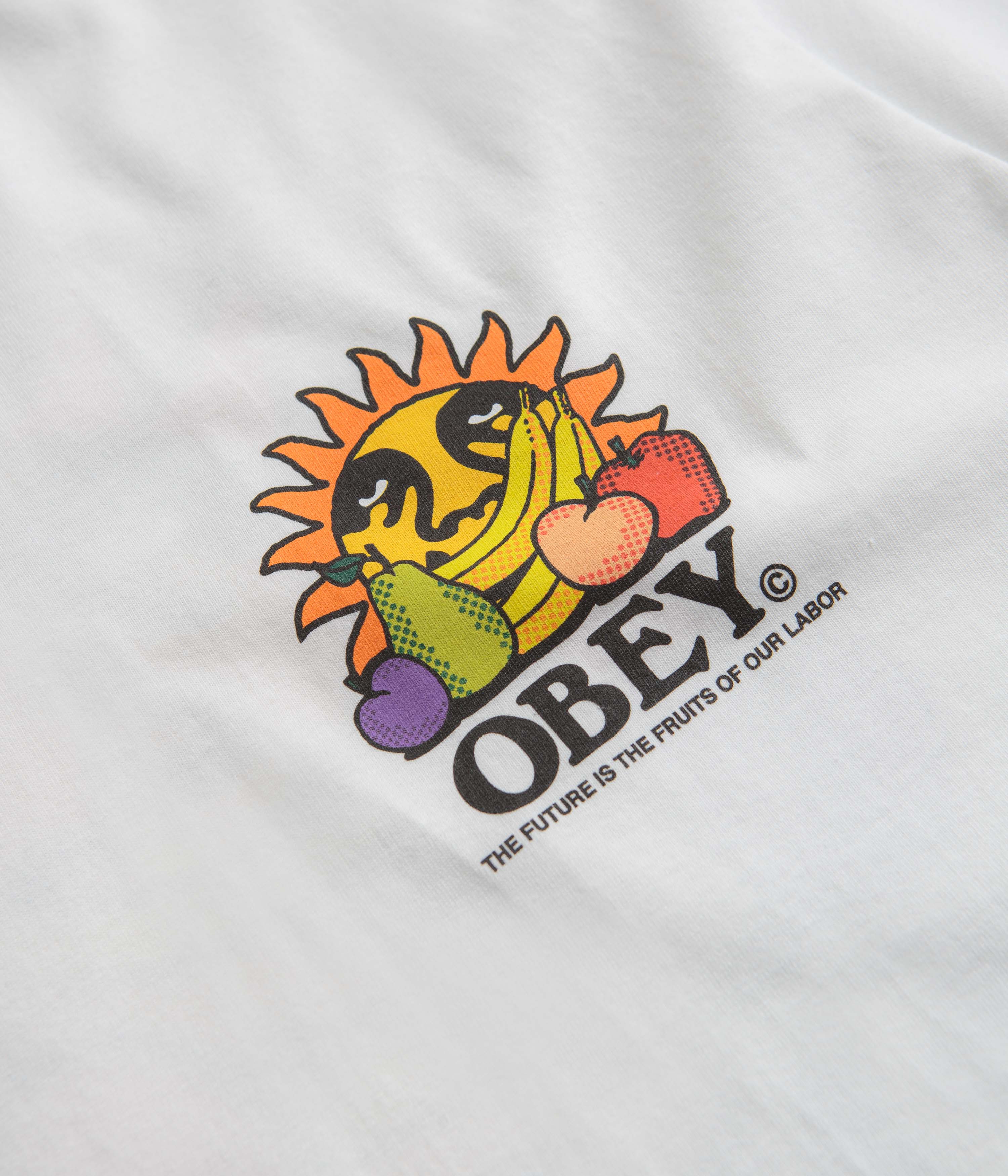Obey The Future Is The Fruits Of Our Labour T-Shirt - White - Image 3