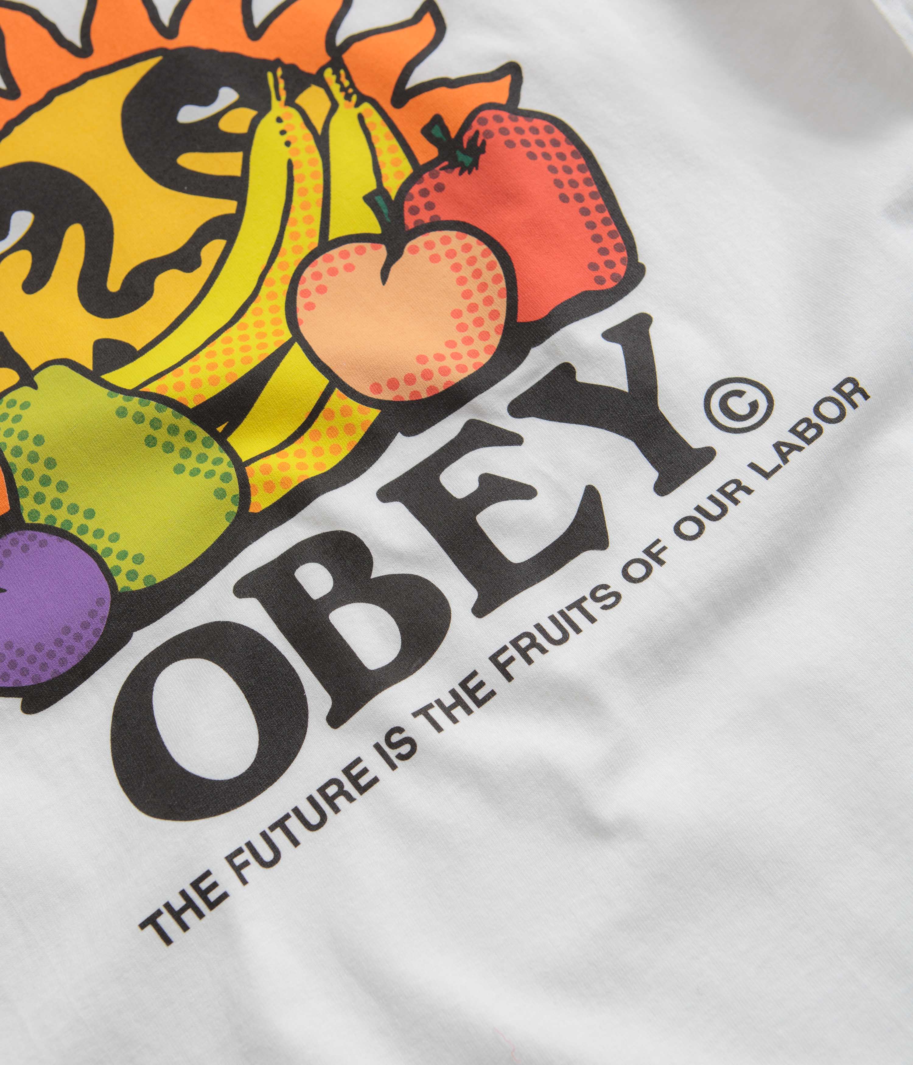 Obey The Future Is The Fruits Of Our Labour T-Shirt - White - Image 5