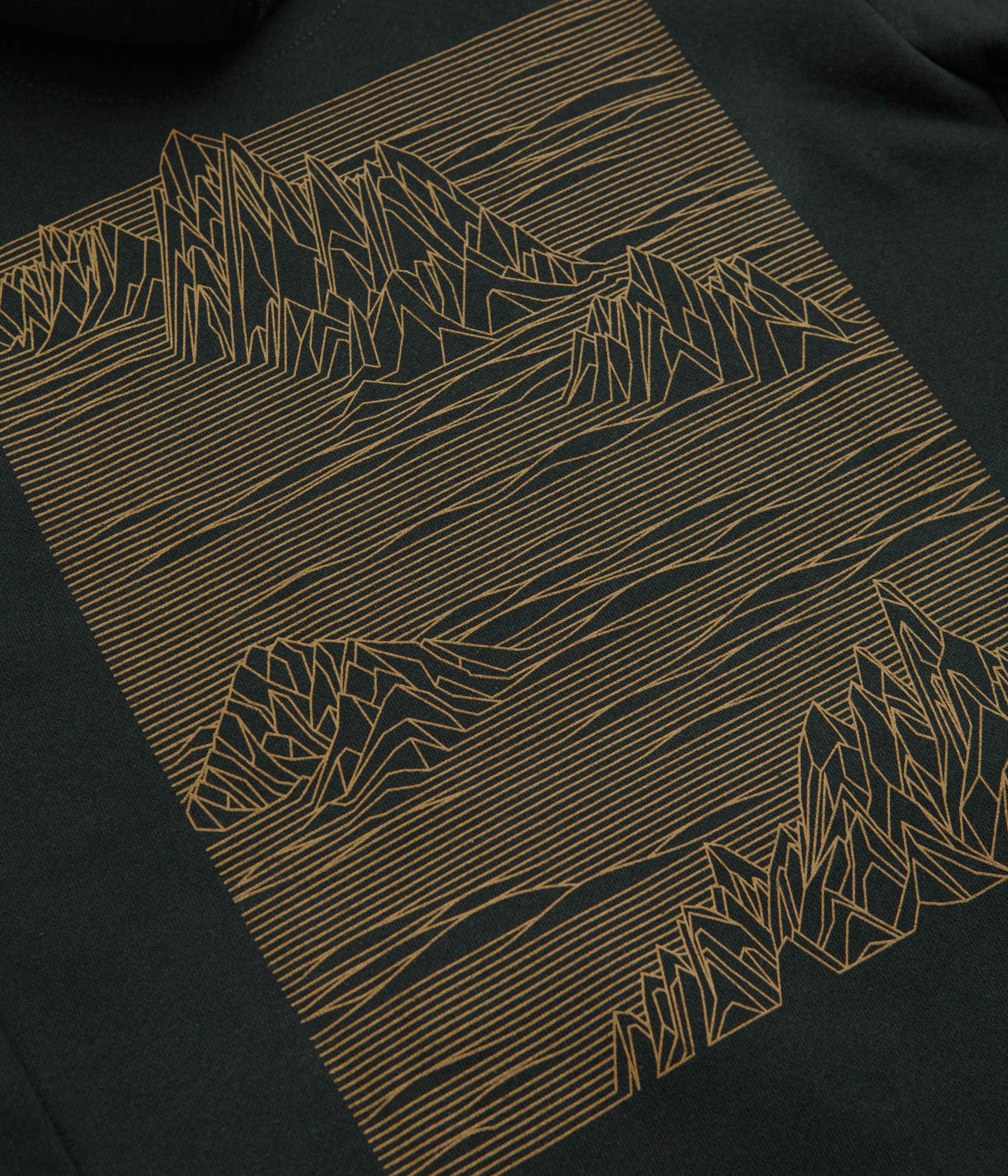 Patagonia Strataspire Uprisal Hoodie - Old Growth Green - Image 4