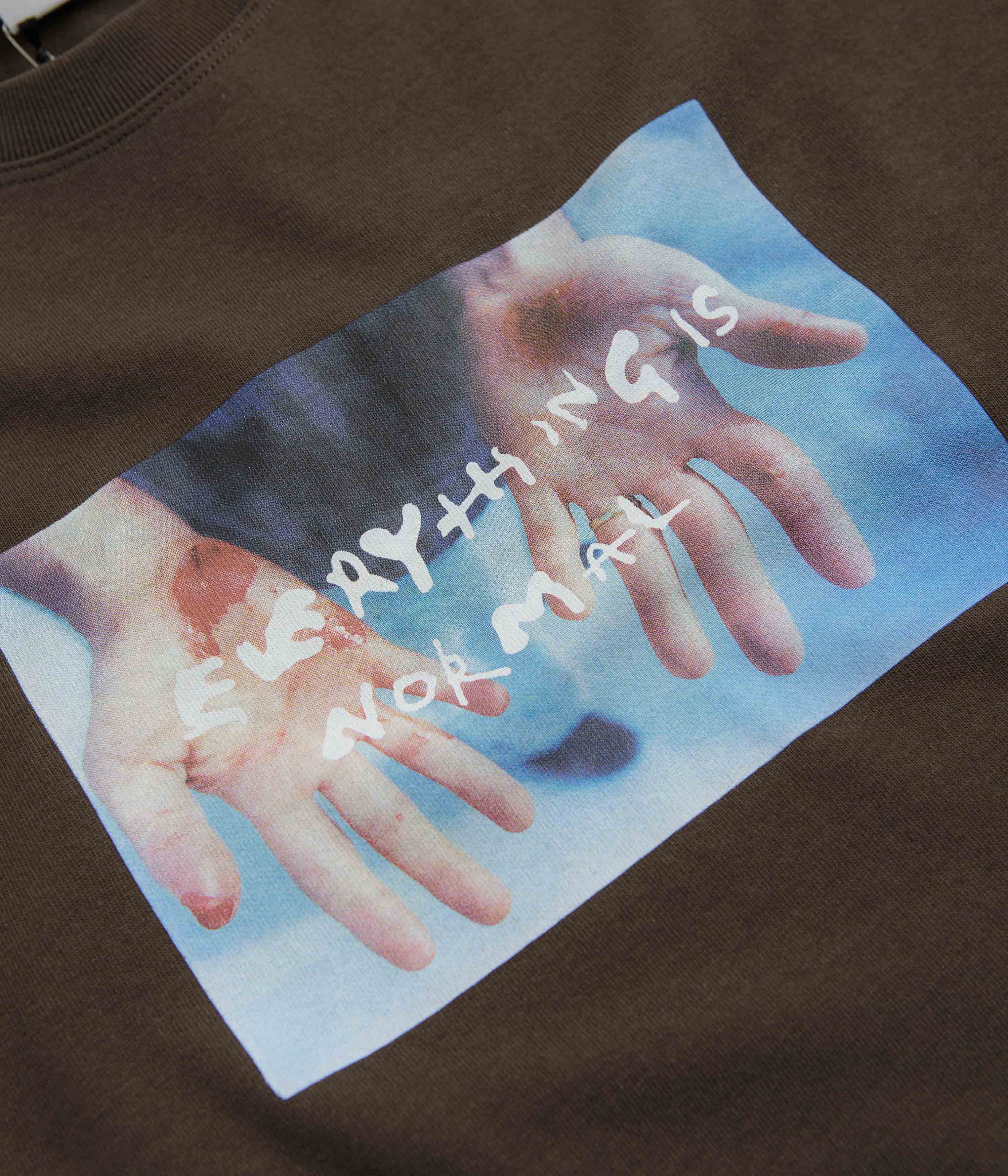 Polar Commitment T-Shirt - Brown - Image 2