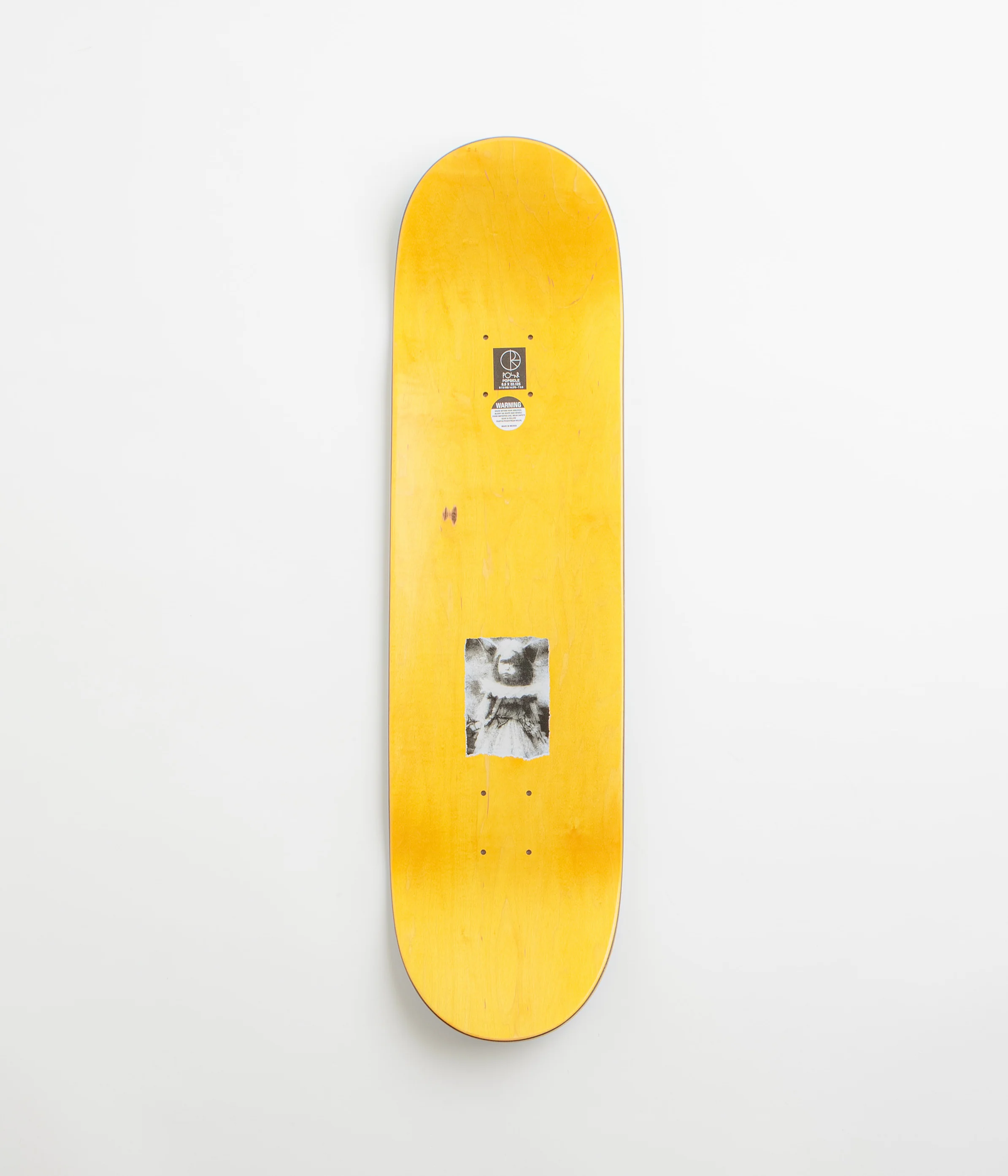 Polar Jamie Platt Dragon Land Deck - 8.5" - Image 2