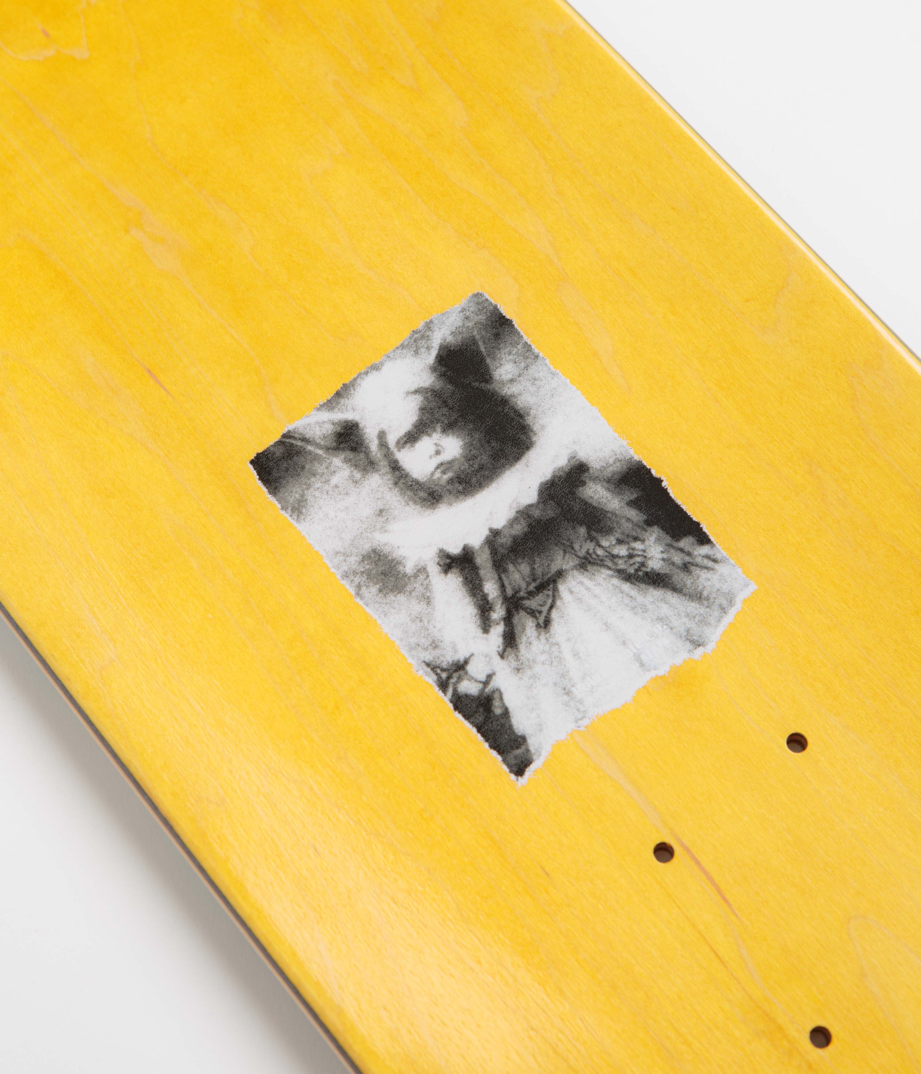 Polar Jamie Platt Dragon Land Deck - 8.5" - Image 3