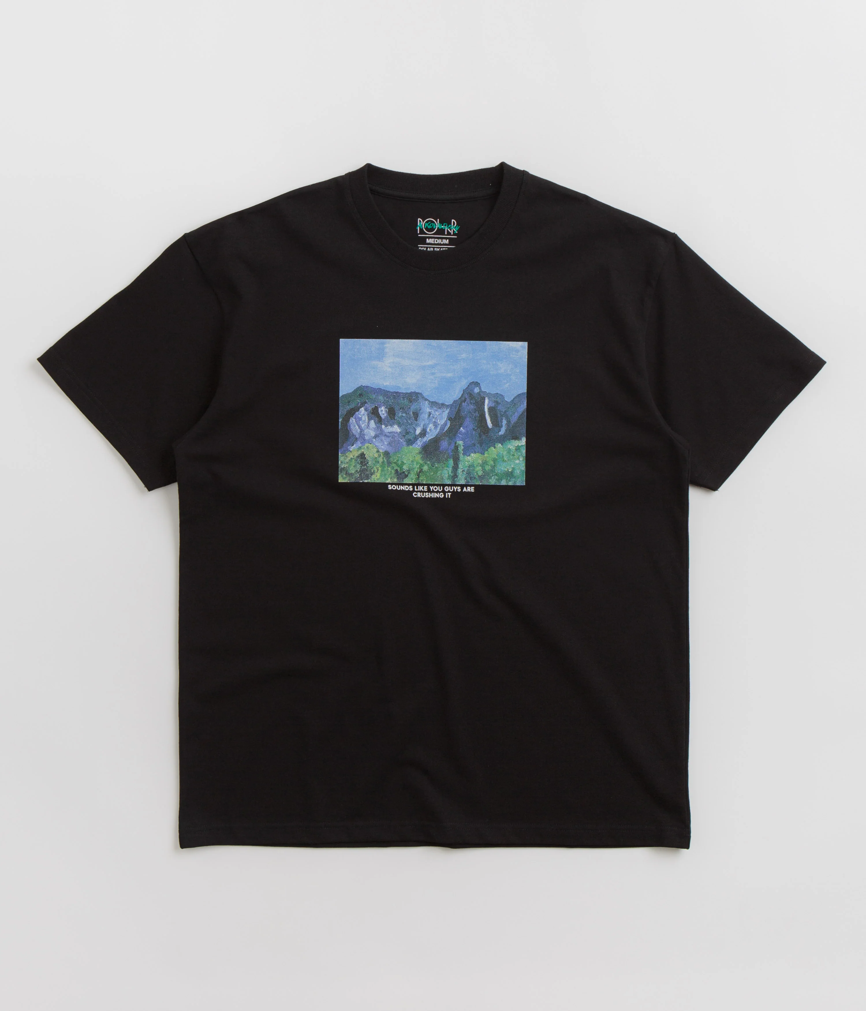 Polar Sounds Like You Guys Are Crushing It T-Shirt - Black