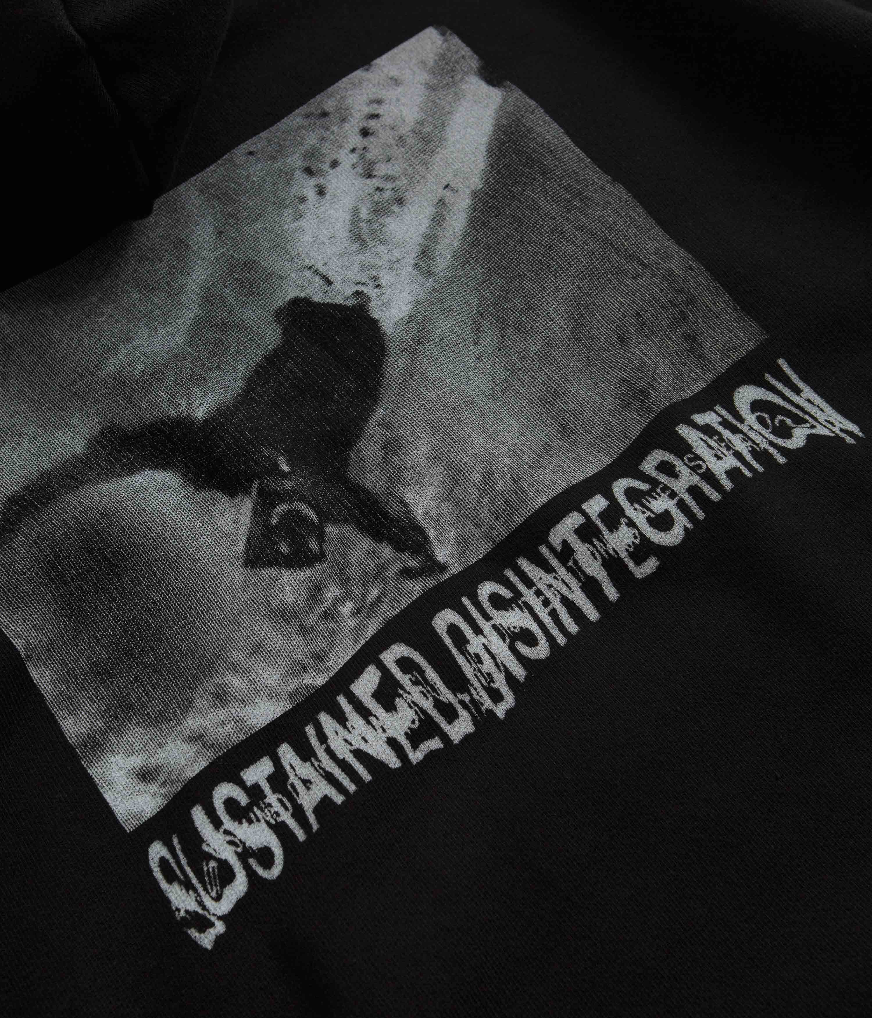 Polar Sustained Disintegration Ed Hoodie - Black - Image 6