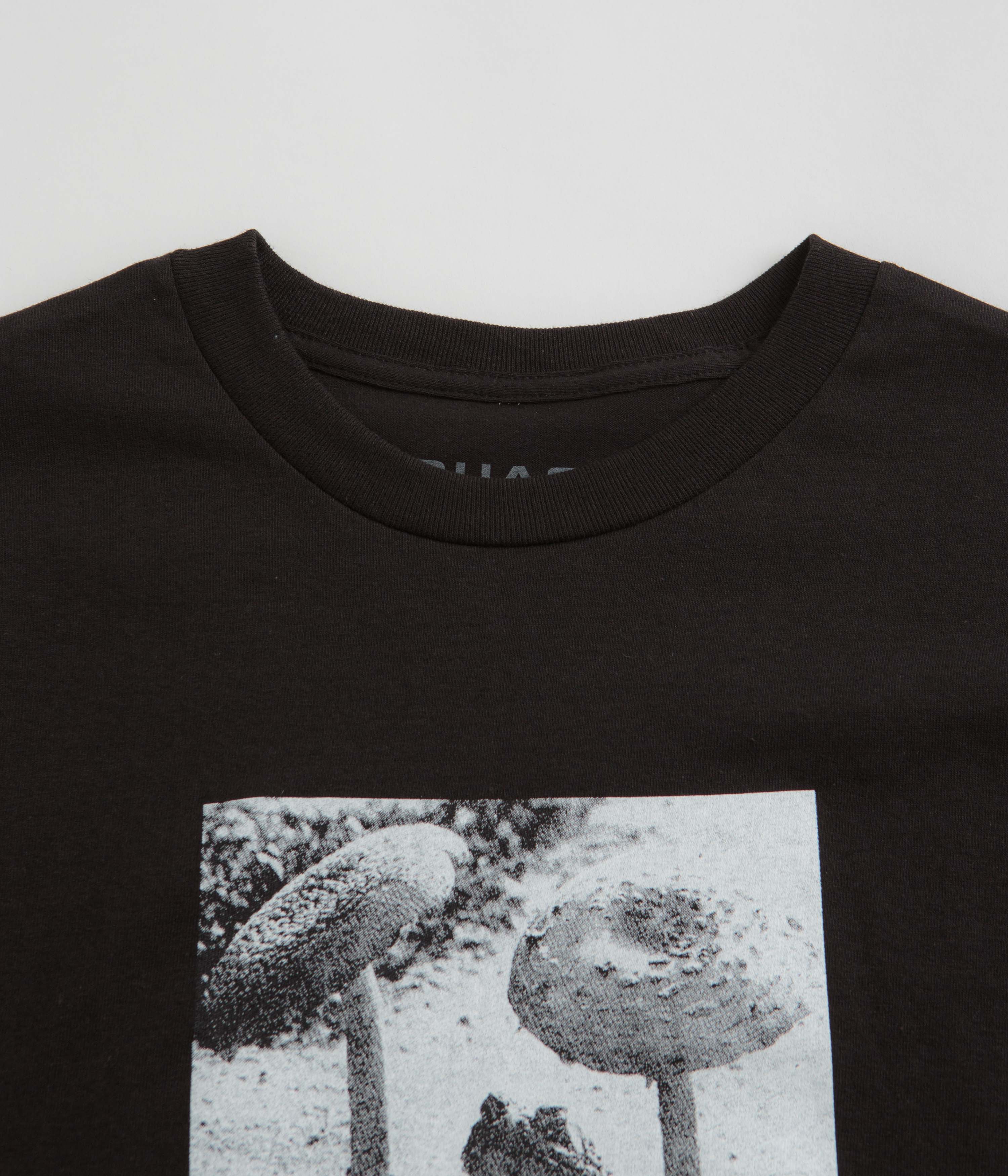 Quasi Toad T-Shirt - Black - Image 2