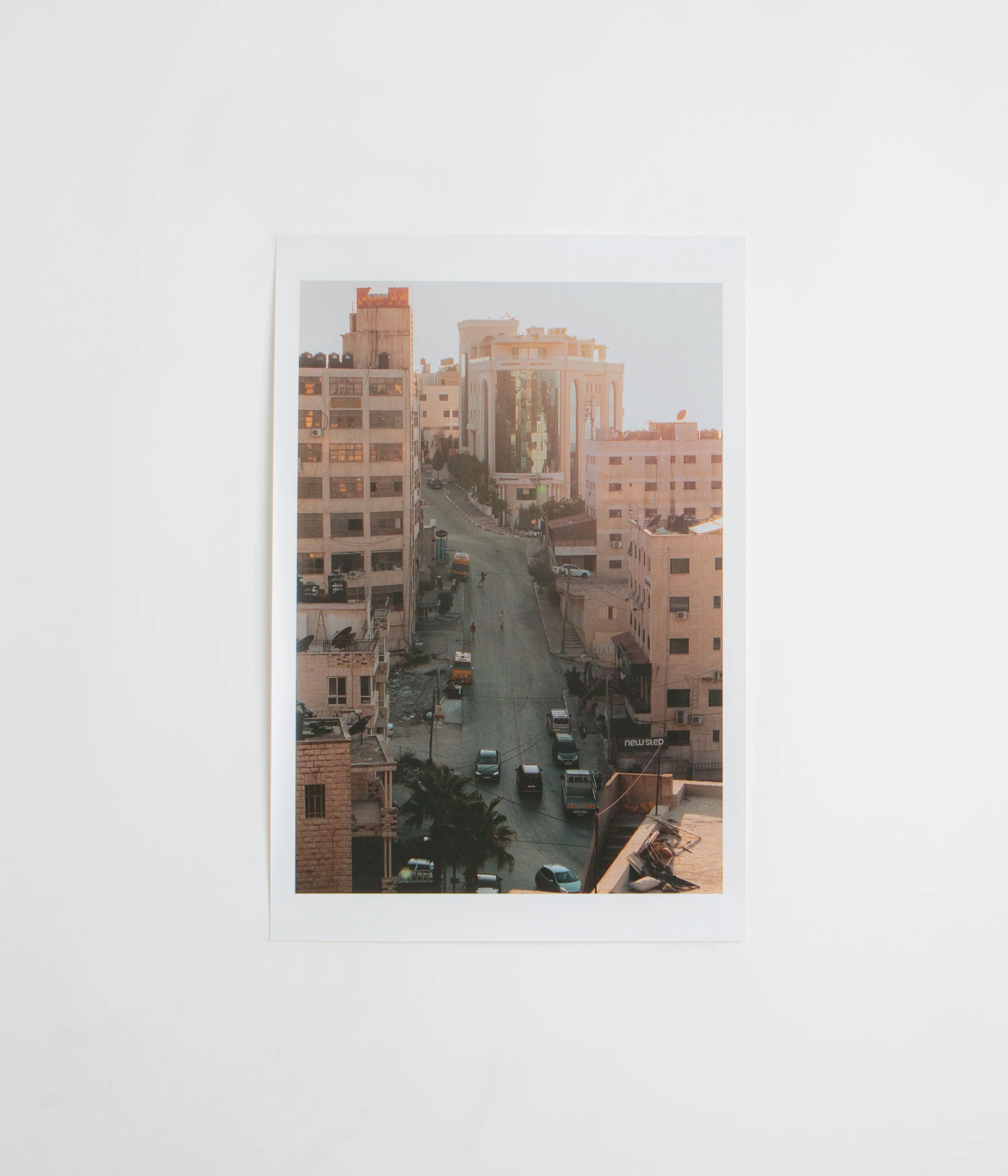SkatePal Editions #1 Print - Keisha Finai