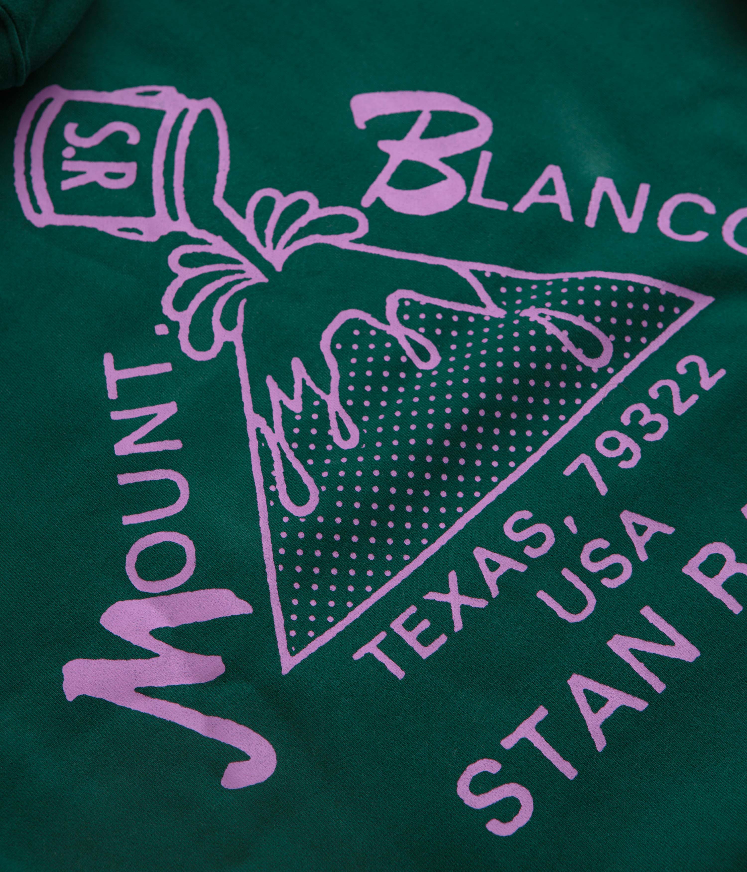 Stan Ray Mount Blanco Hoodie - Botanical Green - Image 5
