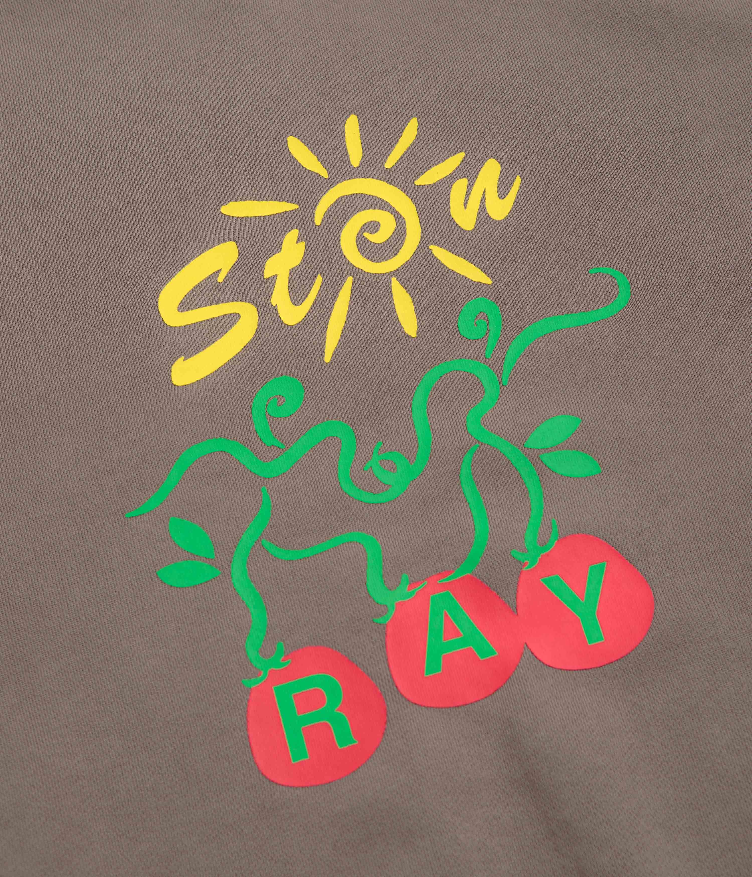 Stan Ray Ray Vine Crewneck Sweatshirt - Shale - Image 3