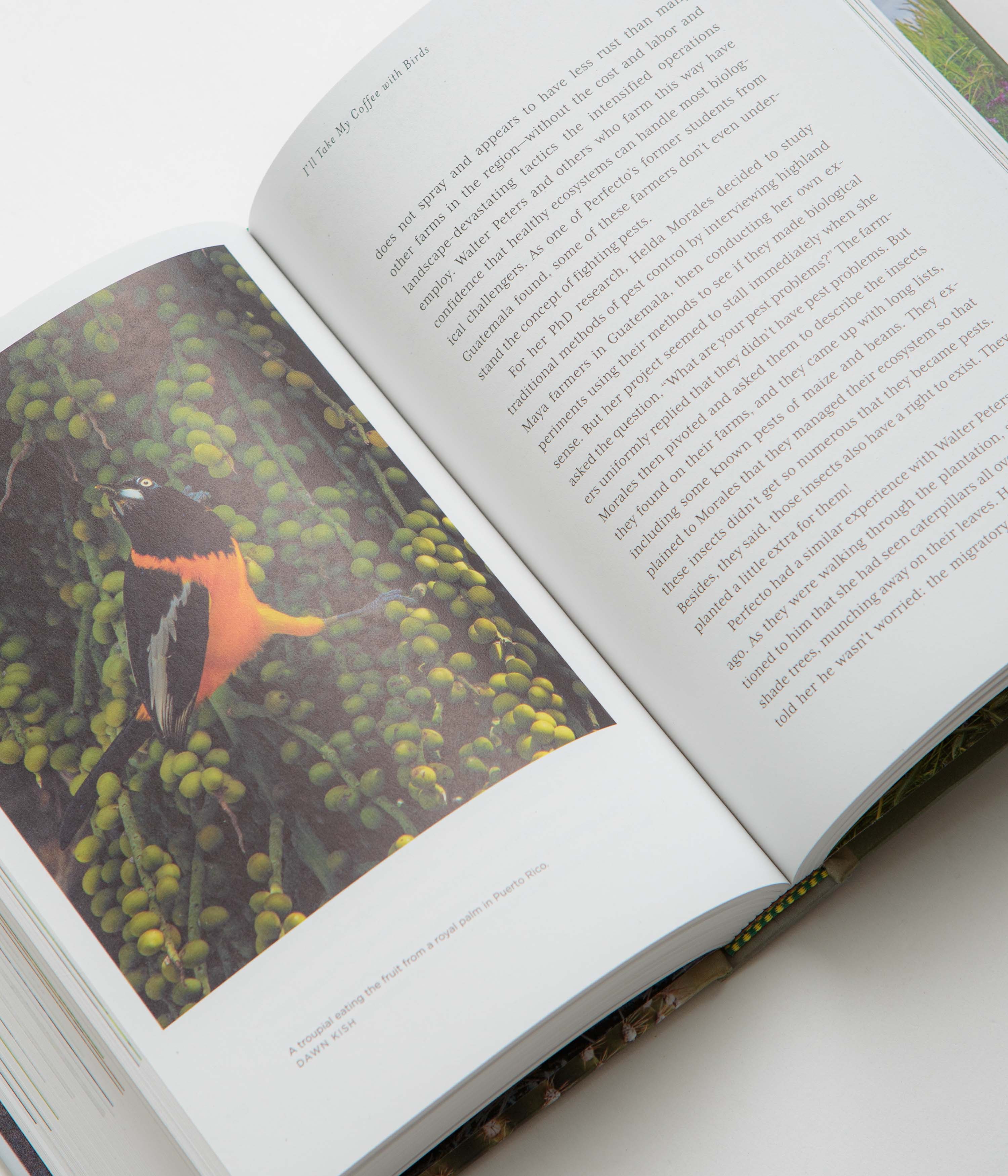 Sweet in Tooth and Claw - Kristin Ohlson - Image 2