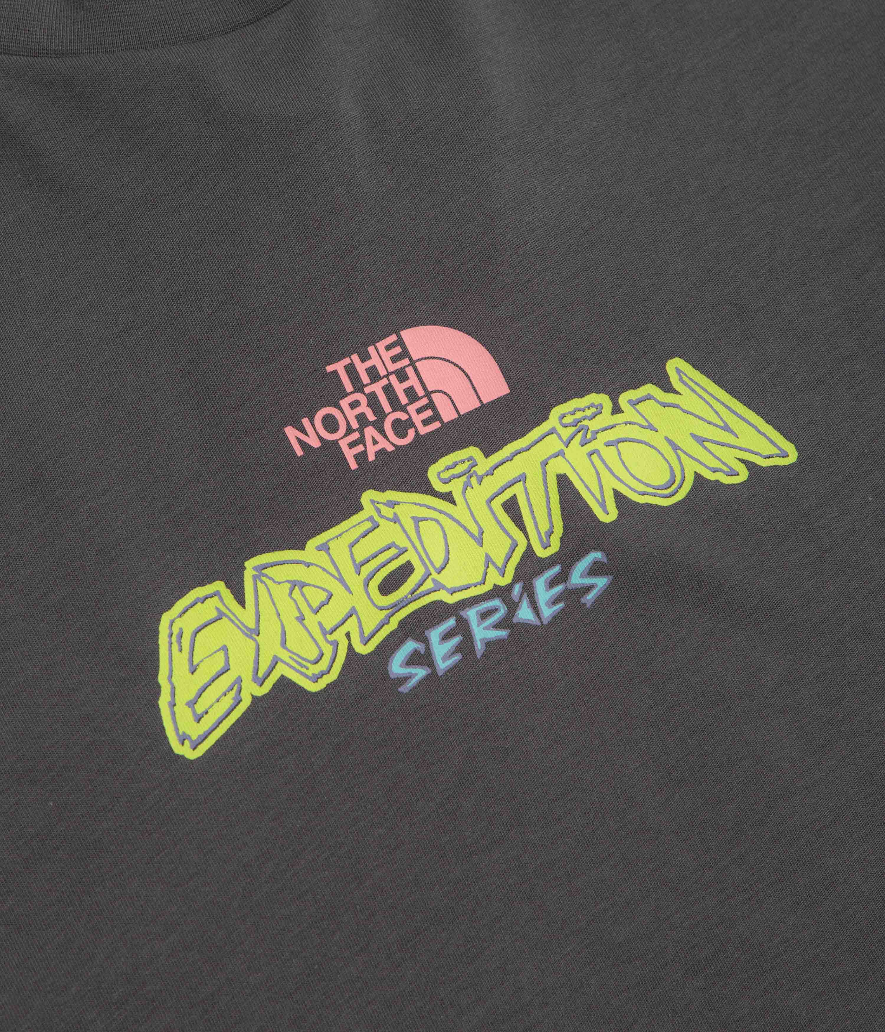 The North Face Expedition Celebration Oversized T-Shirt - Anthracite Grey - Image 3