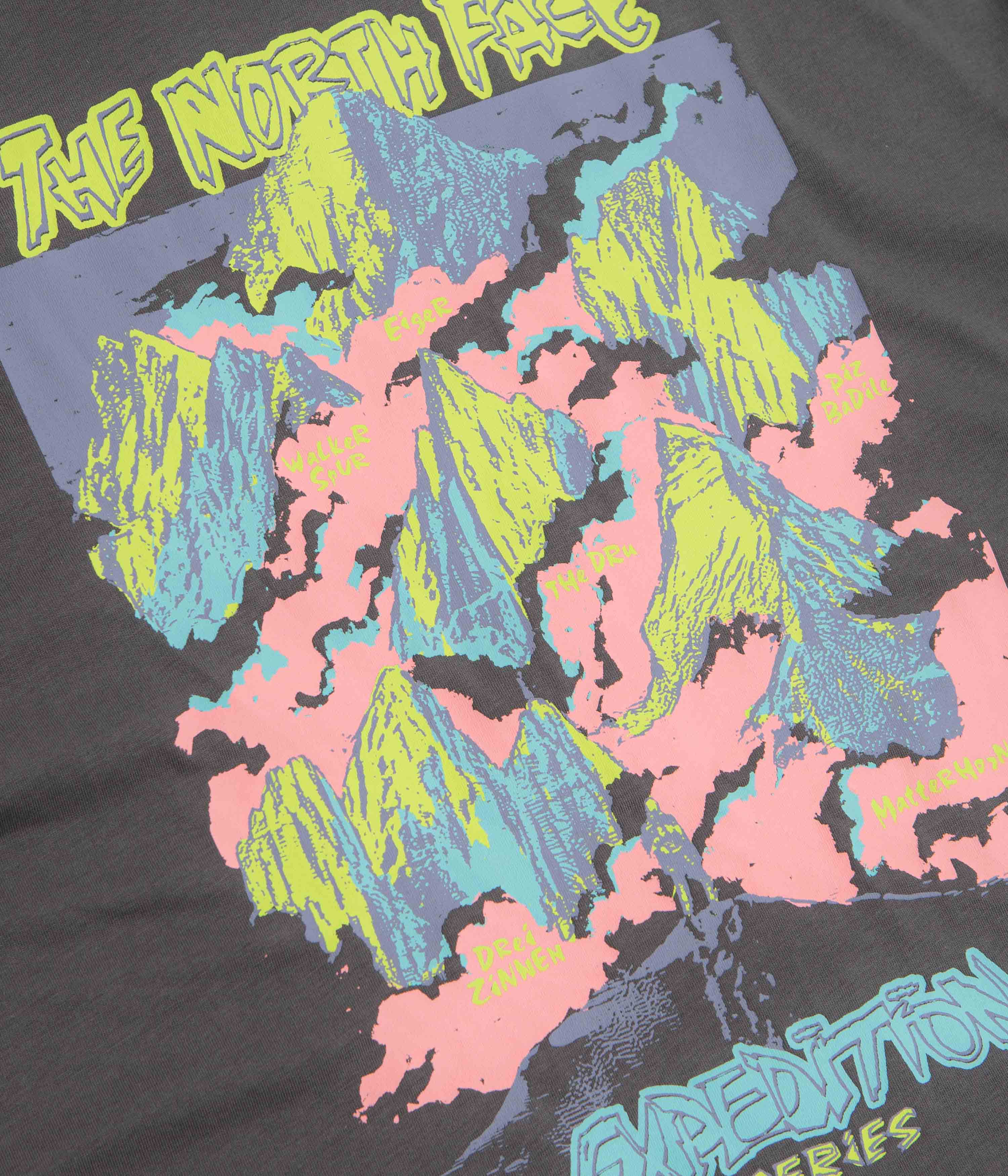 The North Face Expedition Celebration Oversized T-Shirt - Anthracite Grey - Image 5