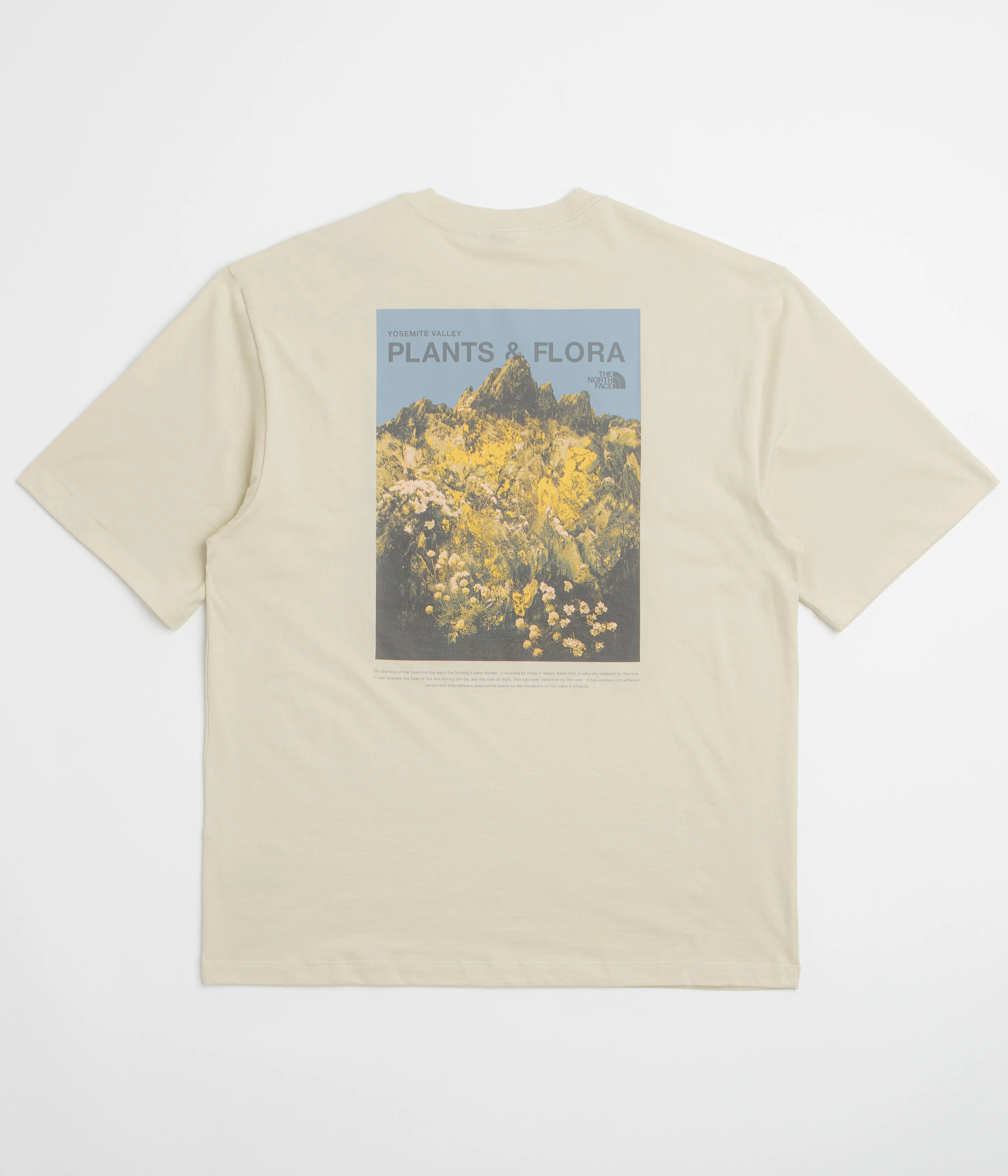 The North Face Plant And Flora Oversized T-Shirt - Desert Stone