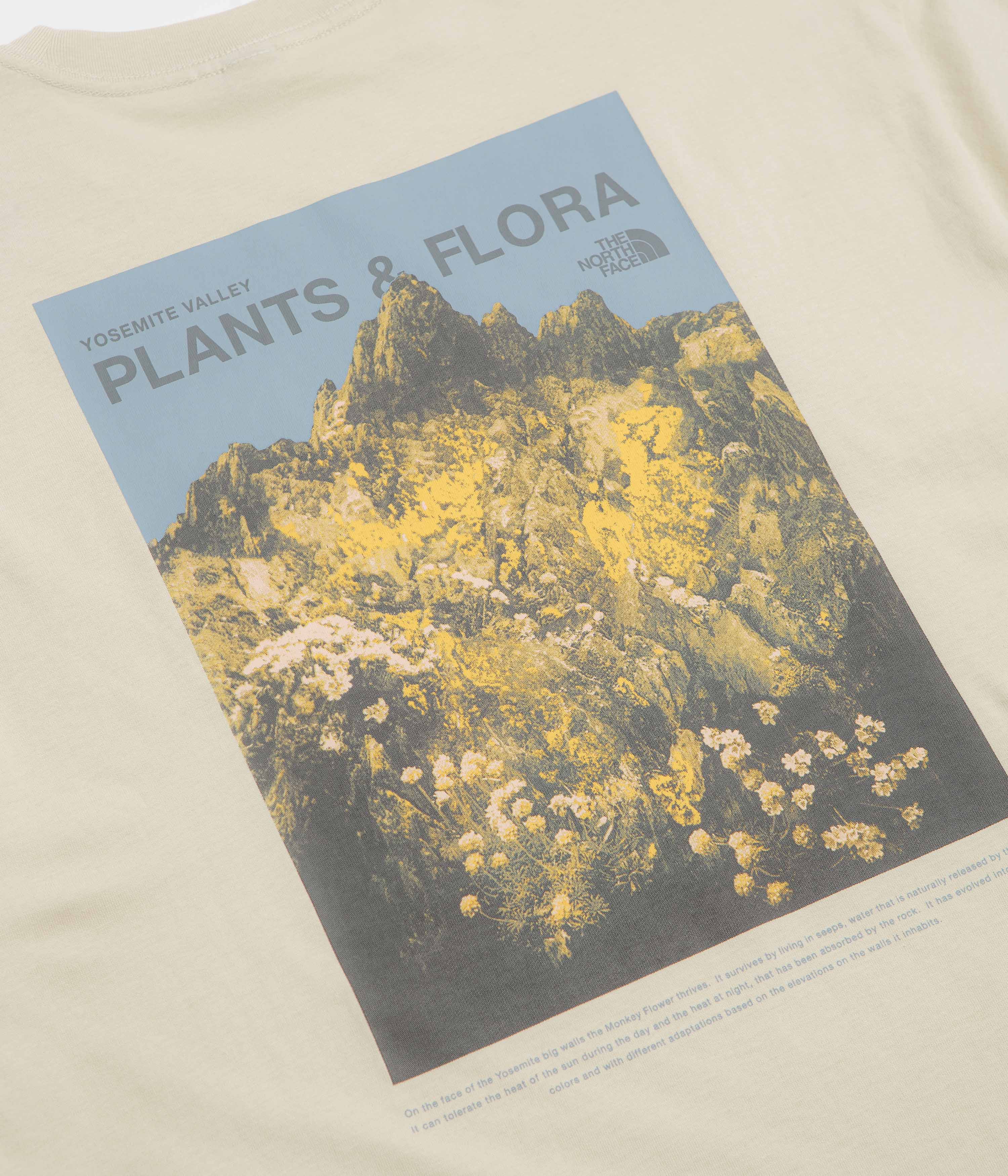 The North Face Plant And Flora Oversized T-Shirt - Desert Stone - Image 4