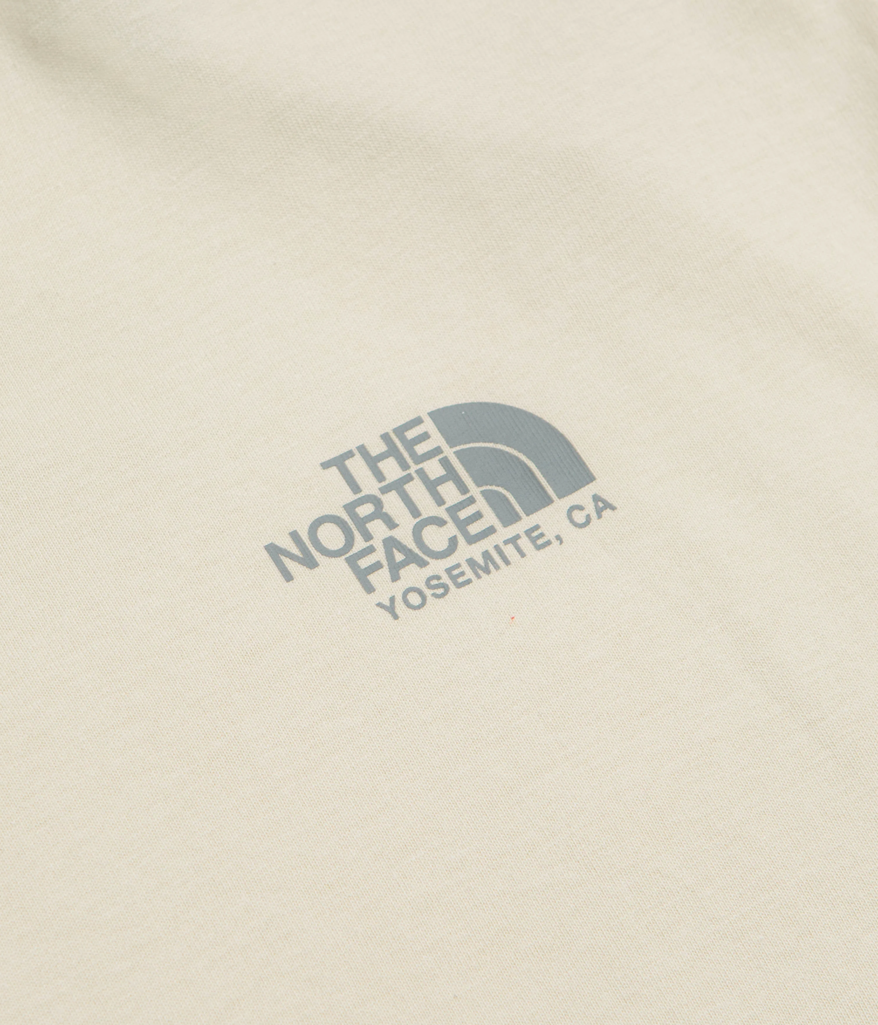 The North Face Plant And Flora Oversized T-Shirt - Desert Stone - Image 5